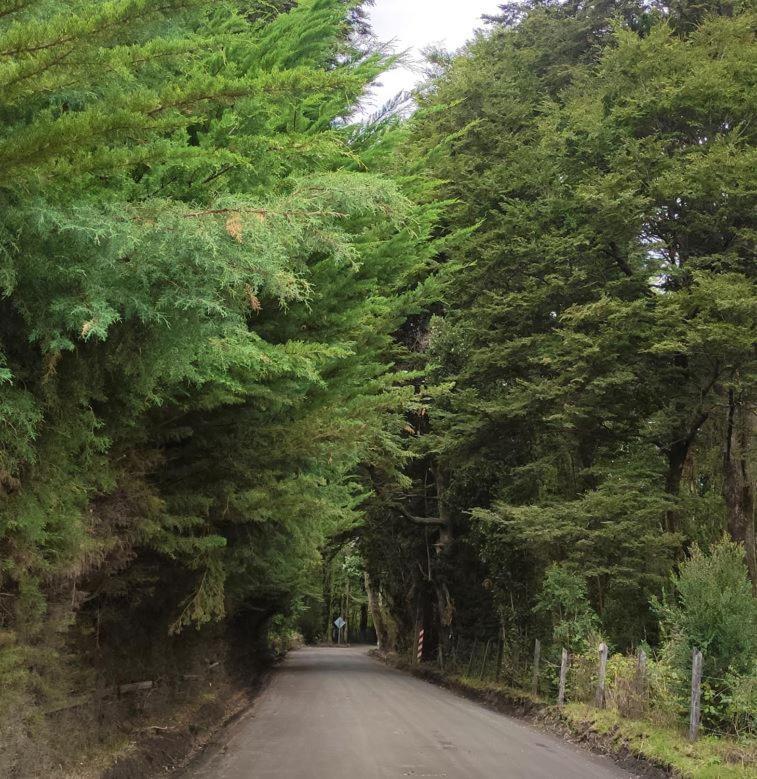 Cabana Ensenada, Puerto Varas - 1 Ambiente Eksteriør billede